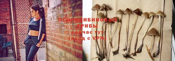 ALPHA PVP Покровск