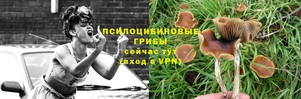ALPHA PVP Покровск