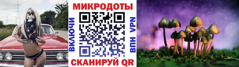 Галлюциногенные грибы MAGIC MUSHROOMS где купить наркоту Фокино